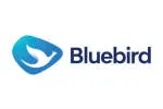 Blue Bird Joglo company logo