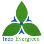 PT Indo Evergreen company logo