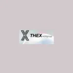 Thex Work Group company logo
