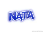 Nata Buana company logo