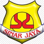 PT. SINAR SAKTI JAYA company logo