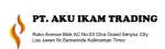 Aku Ikam Group company logo