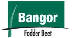 Bangor Foods Corp company logo