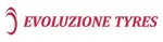 PT Evoluzione Tyres company logo