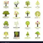 treecommodate company icon