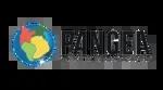 Pangea Movement company icon