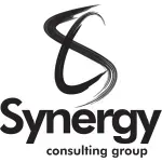 Synergy Pro Business & Legal Consulting company icon