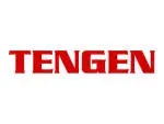 Tengen Industri company icon