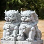 Shishi Izakaya Lounge & Night Club company icon