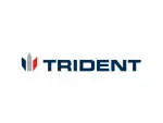 Trident Digital company icon