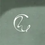 Palm LeyLines company icon