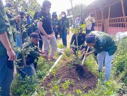 Mahasiswa KKN Unram Lakukan Penanaman Pohon di Sepanjang Jalan Raya Desa Sembalun