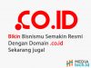 Jasa Registrasi Domain .CO.ID Murah Tanpa Syarat 2022!
