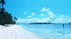 Pulau Hoga Wakatobi, Destinasi Wisata Bahari Super Cantik Nan Menawan