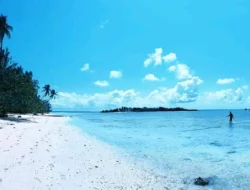 Pulau Hoga Wakatobi, Destinasi Wisata Bahari Super Cantik Nan Menawan