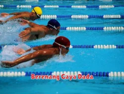 Teknik Dasar Berenang Gaya Dada