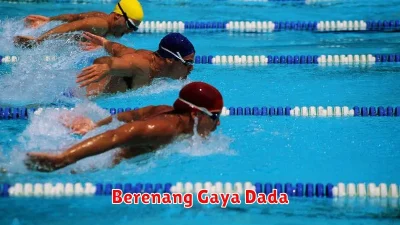 Berenang Gaya Dada