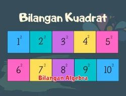 Pengertian Bilangan Algebra dalam Matematika