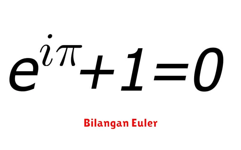 Bilangan Euler