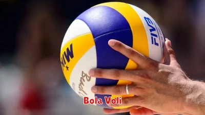 Bola Voli