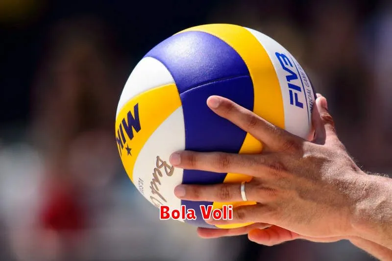 Bola Voli