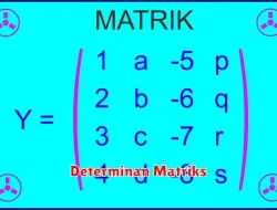 Pengertian Determinan Matriks dalam Matematika