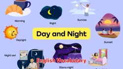 English Vocabulary