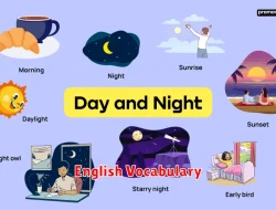 Cara Mengembangkan Vocabulary dalam Bahasa Inggris