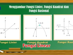 Pengertian Fungsi Linear dalam Matematika