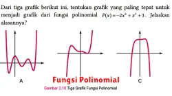 Fungsi Polinomial