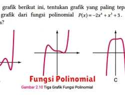 Pengertian Fungsi Polinomial dalam Matematika