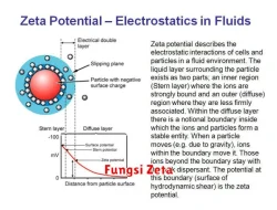 Menguak Misteri Fungsi Zeta: Perjalanan Menyelami Dunia Bilangan Tak Terbatas dalam Matematika