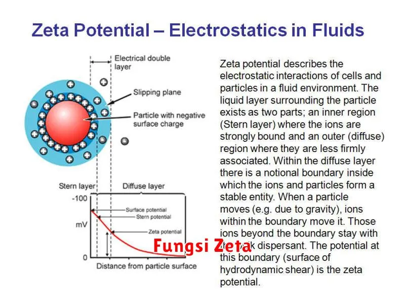 Fungsi Zeta