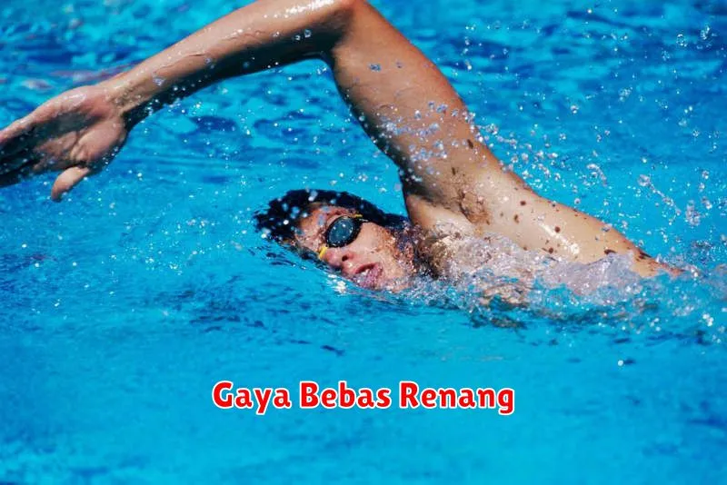 Gaya Bebas Renang