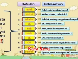 Penggunaan Kata Seru dalam Bahasa Indonesia