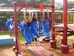 Manfaat Latihan Kekuatan bagi Tubuh