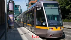 Pengertian Luas dalam Matematika