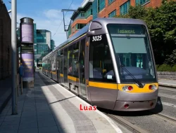 Pengertian Luas dalam Matematika