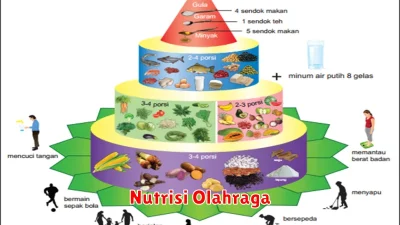 Nutrisi Olahraga