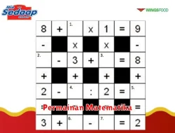 Pengertian Permainan Matematika dalam Matematika