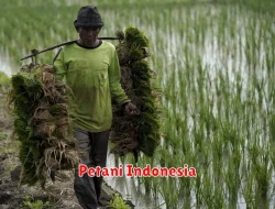 Sejarah Perkembangan Pertanian di Indonesia