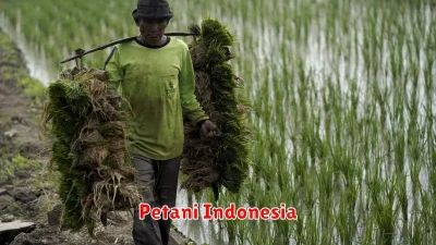 Petani Indonesia