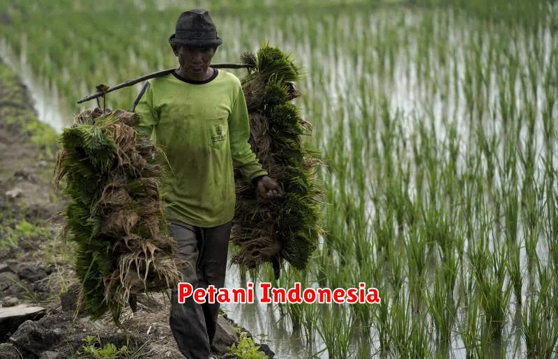 Petani Indonesia