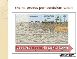 Proses Pembentukan Tanah dalam Ilmu Pengetahuan Alam