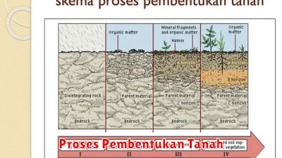 Proses Pembentukan Tanah