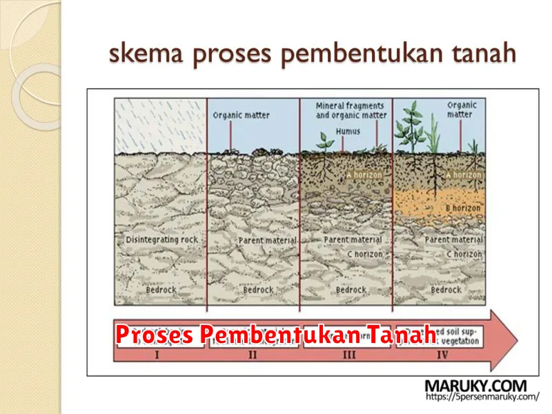 Proses Pembentukan Tanah