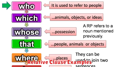 Relative Clause Examples