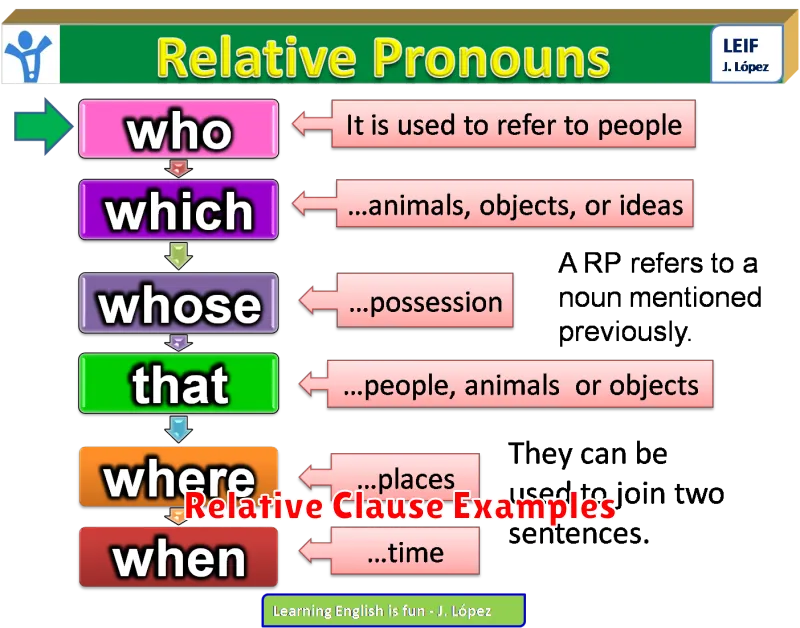 Relative Clause Examples