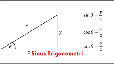 Sinus Trigonometri