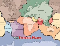 Proses Pembentukan Tectonic Plates dalam Ilmu Pengetahuan Alam